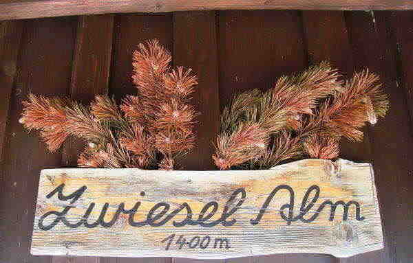 Zwieselalm
